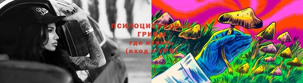 марки lsd Каменногорск